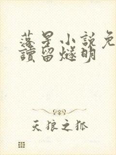 落星小说免费阅读留燧明