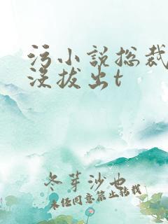 污小说总裁整夜没拔出t