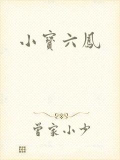 小宝六凤