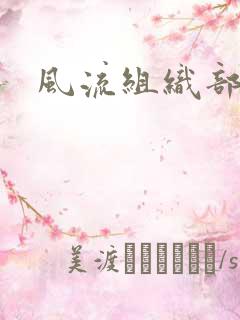 风流组织部长