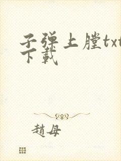 子弹上膛txt下载