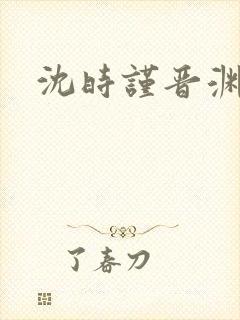 沈时谨晋渊小说