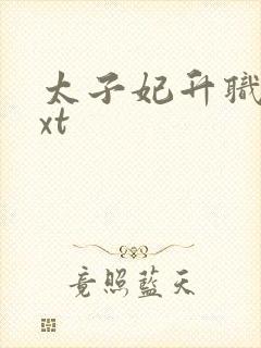 太子妃升职记txt