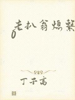 老扒翁熄系列40