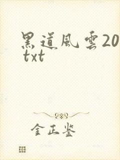 黑道风云20年 txt