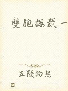 双胞总裁一个妻