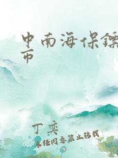 中南海保镖在都市