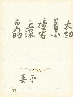 皇上撞着太子妃的深处小初