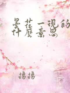 昙花一现的现是什么意思