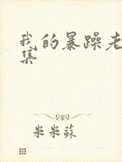 我的暴躁老妈全集