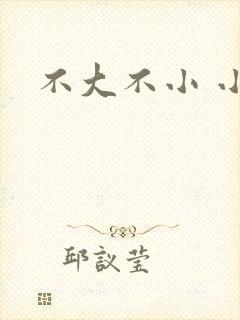 不大不小 小说