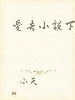 爱去小说下载网