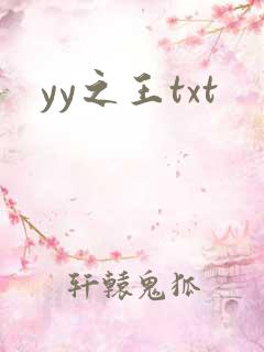 yy之王txt