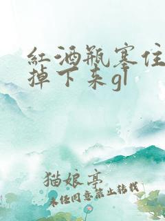 红酒瓶塞住不准掉下来gl