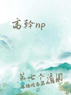 高干np