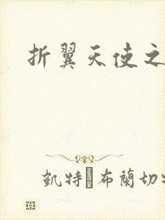 折翼天使之城