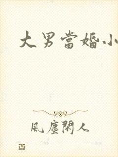 大男当婚小说