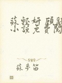 苏轻妍 顾辞笙小说免费阅读