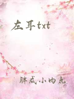 左耳txt