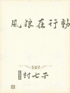 风狼在行动