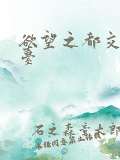 欲望之都交友平台