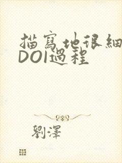 描写地很细致的DOI过程