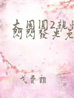 大团圆2亲情会闪闪发光免费