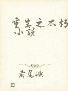 重生之不朽传奇 小说