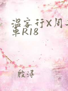 温客行X周子舒车R18