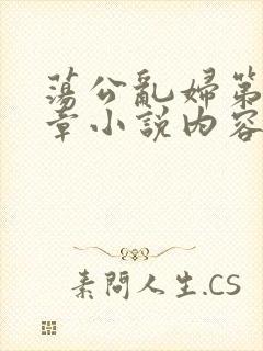 荡公乱妇第51章小说内容