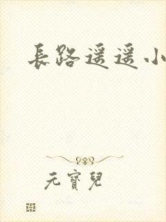 长路遥遥小说