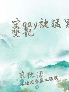 宏gay被猛男双龙