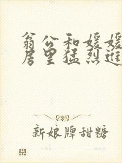 翁公和媛媛在厨房里猛烈进出