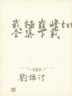 武极巅峰txt全集下载