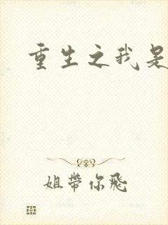 重生之我是战机