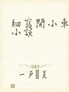 细写开小车车的小说