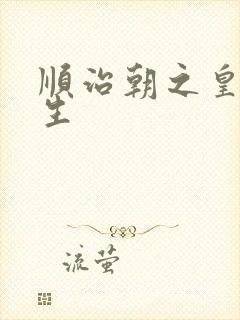 顺治朝之皇后重生