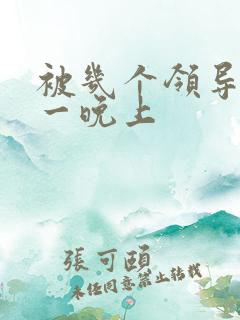 被几个领导玩弄一晚上