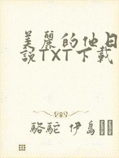 美丽的他日剧小说TXT下载