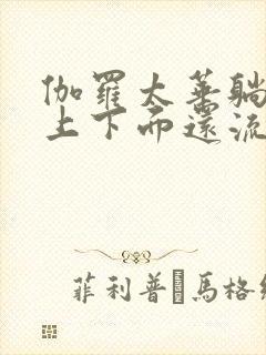 伽罗太华躺在床上下面还流东西