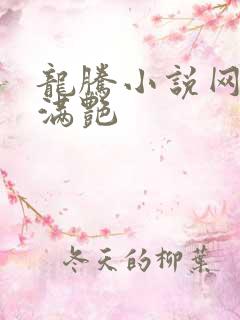 龙腾小说网乡村满艳