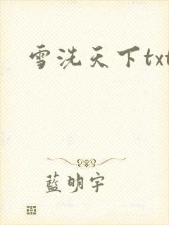 雪洗天下txt