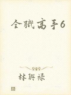全职高手6