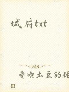 城府txt