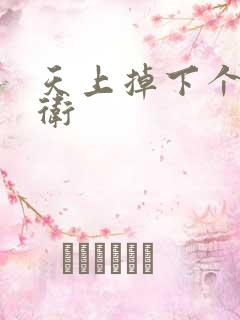 天上掉下个影卫卫