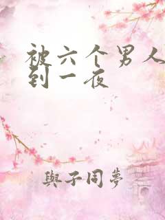 被六个男人躁J到一夜