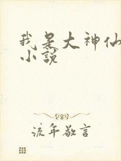 我是大神仙时江小说