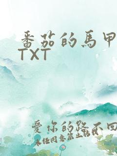 番茄的马甲小说TXT