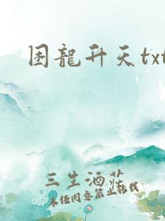 困龙升天txt