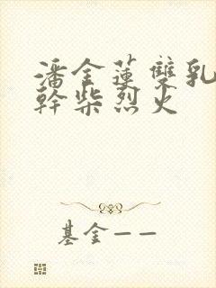 潘金莲双乳晃动干柴烈火